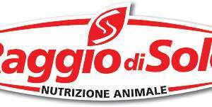 Logo Raggio di sole